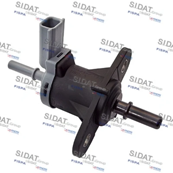 81296 Sidat
