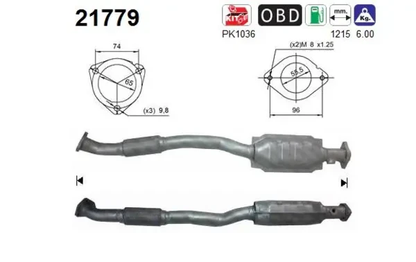 21779 AS/Auto Storm