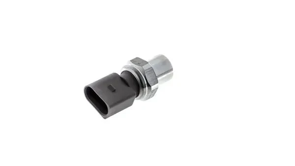 ASE24000P Mahle Original