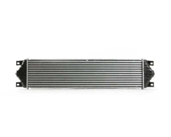 CI19000S Mahle Original