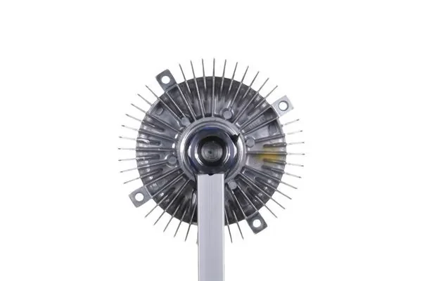Embrague, ventilador del radiador 1001210038 Meyle