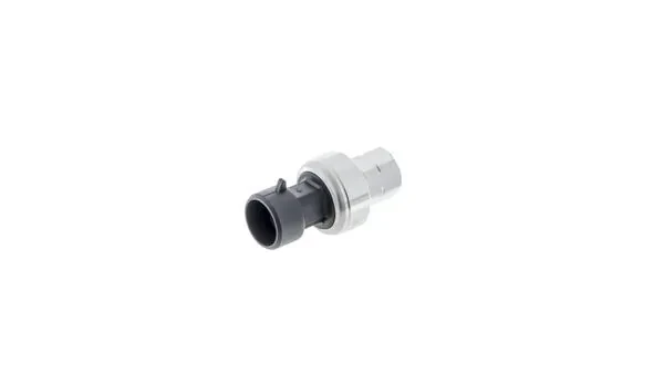 ASE19000P Mahle Original