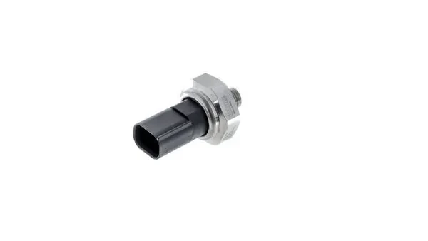 ASE23000P Mahle Original