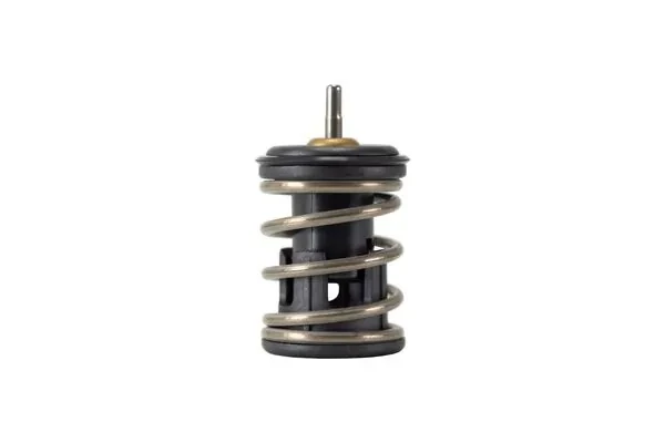 TX253105D Mahle Original