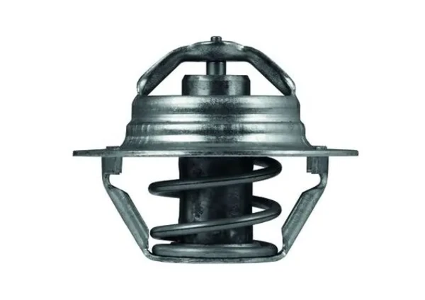 TX10089D Mahle Original