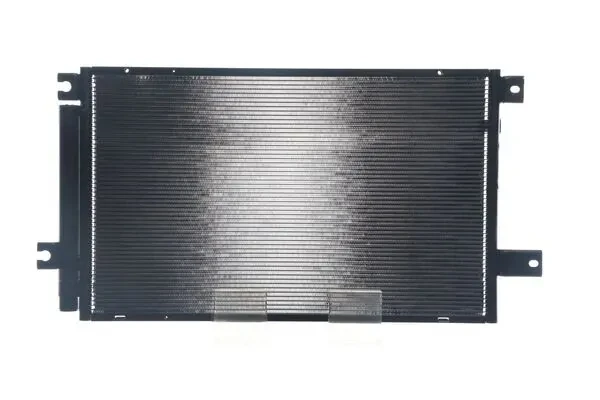 AC819000S Mahle Original