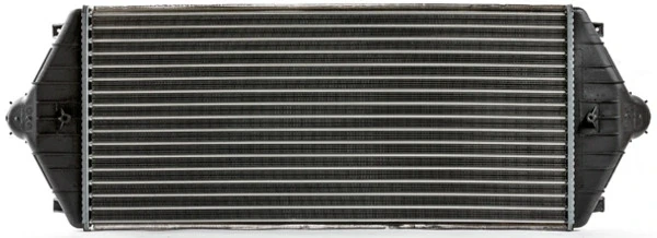 CI17000S Mahle Original