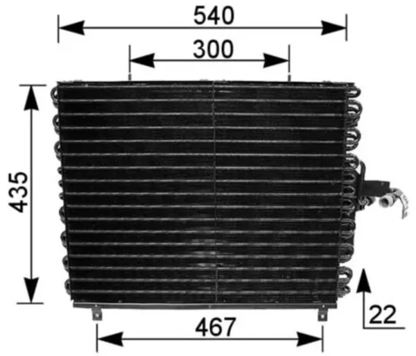 AC166000S Mahle Original
