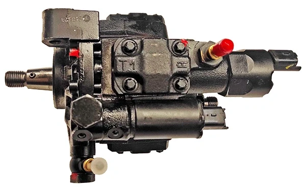 R5WS40565 Lizarte