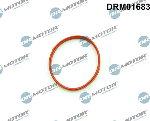 Junta cuerpo mariposa BMW 5 E39