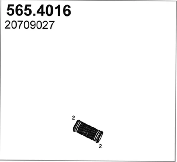 5654016 Asso