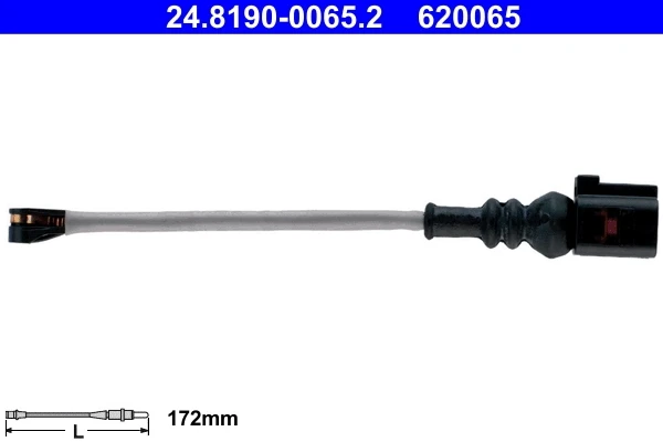 24819000652 ATE
