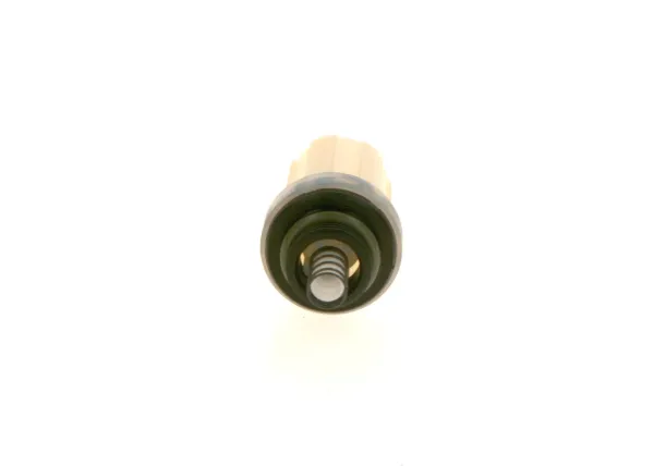 Filtro de combustible 2447010042 Bosch