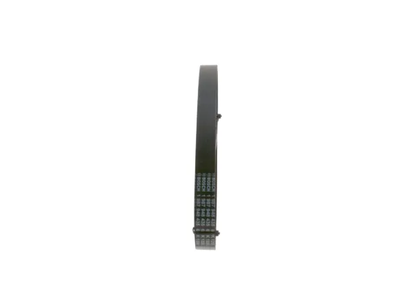 Correa de alternador 1987948435 Bosch