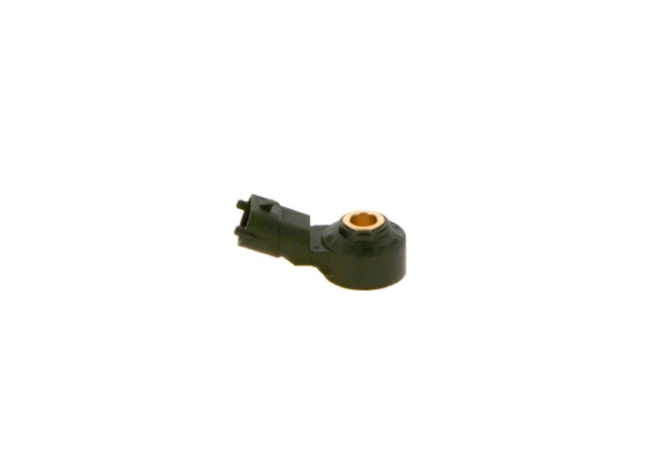 0261231173 Bosch sensor de detonaciones