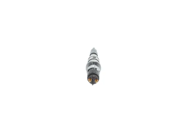 Correa de alternador 1987947824 Bosch