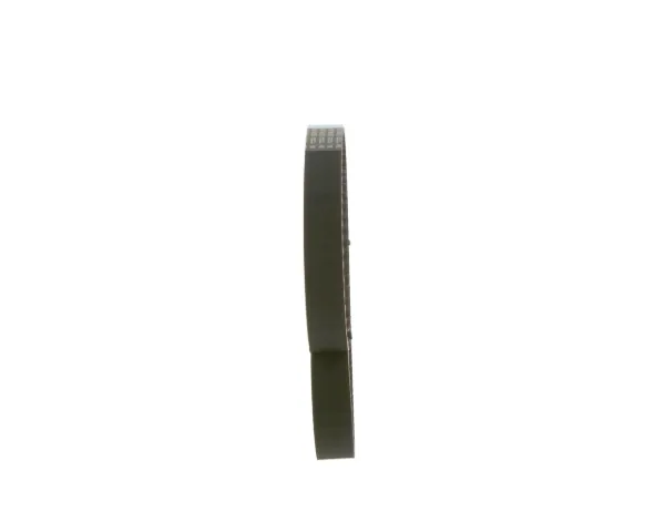 Correa distribución 1987949044 Bosch