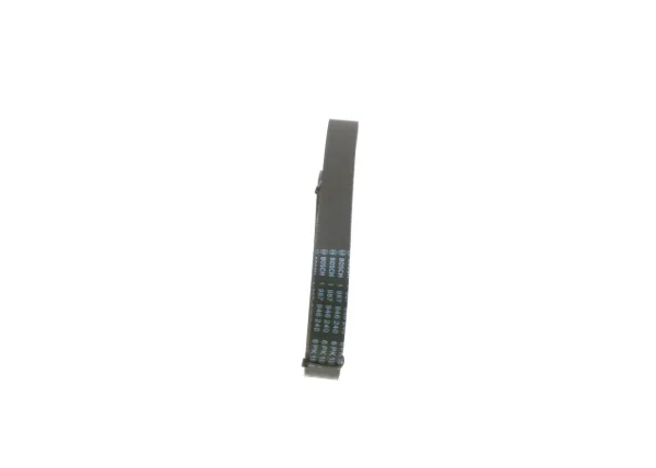 Correa de alternador 1987946240 Bosch