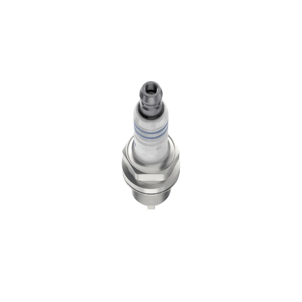 0242229699 Bosch