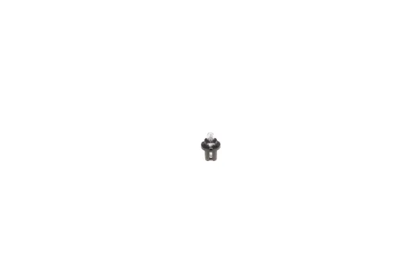 Bombilla 1987302219 Bosch