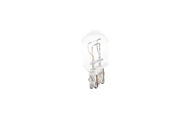 Bombilla 1987302252 Bosch