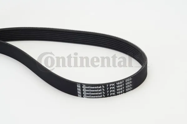 Correa de alternador 7PK1687 Continental/Siemens
