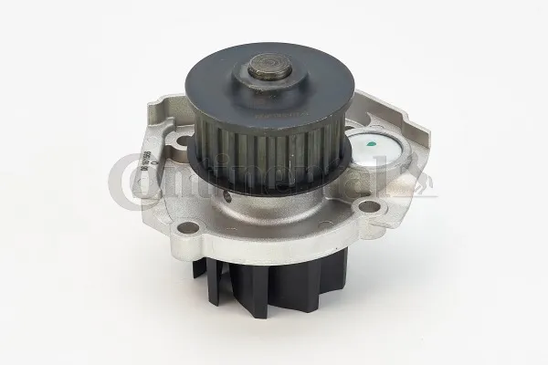 Bomba de agua WP6042 Continental/Siemens
