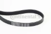 6PK1306 Continental/Siemens