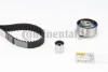 CT1131K1 Continental/Siemens