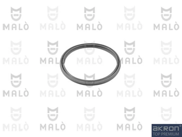 17040FL Akron Malo