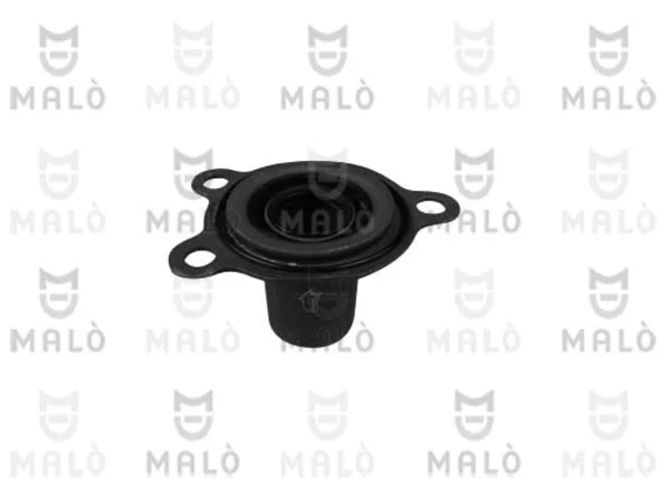 17935 Akron Malo
