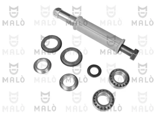 15213 Akron Malo