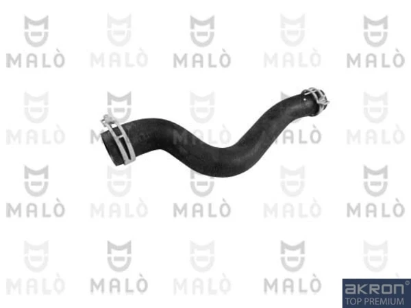 302175A Akron Malo