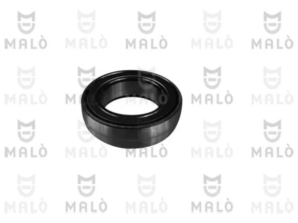 19006 Akron Malo