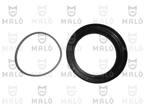 136020 Akron Malo