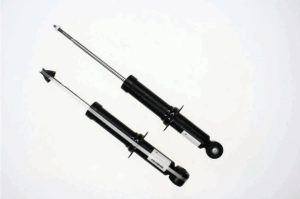 312986 Sachs