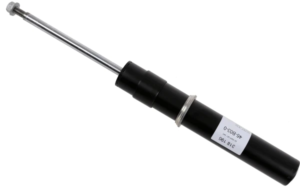 318196 Sachs