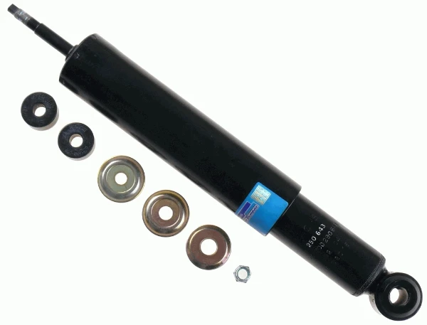 290643 Sachs