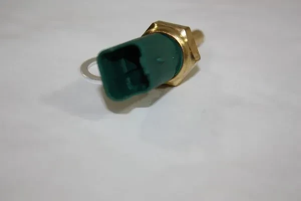 190069510 Dello/Automega