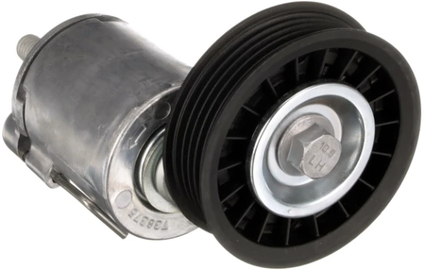 Rodillo, correa trapecial poli V Volkswagen Passat B5 (3B5)