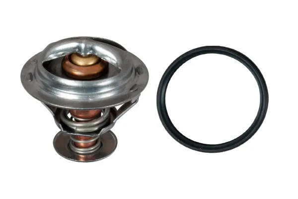 Termostato TH58392G1 Gates