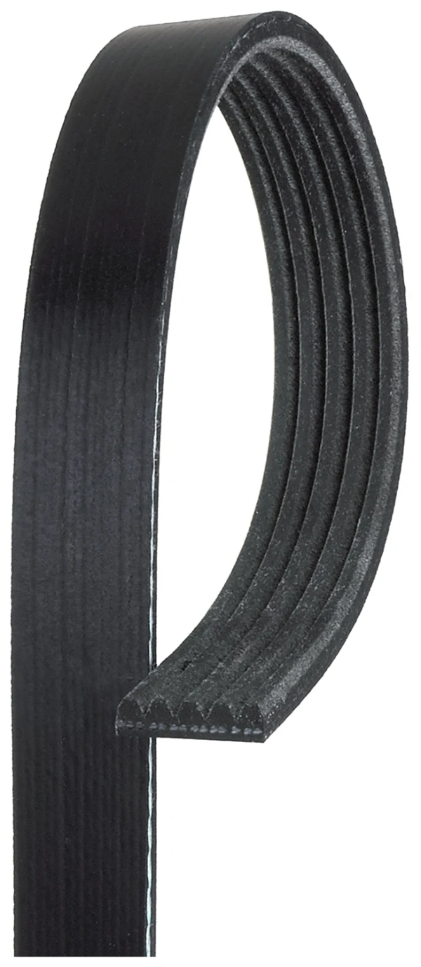 Correa trapezoidal Mercedes ML/GLE (W167)