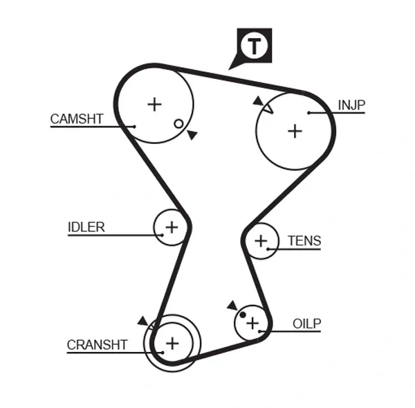 Correa distribución Mitsubishi Galant VIII