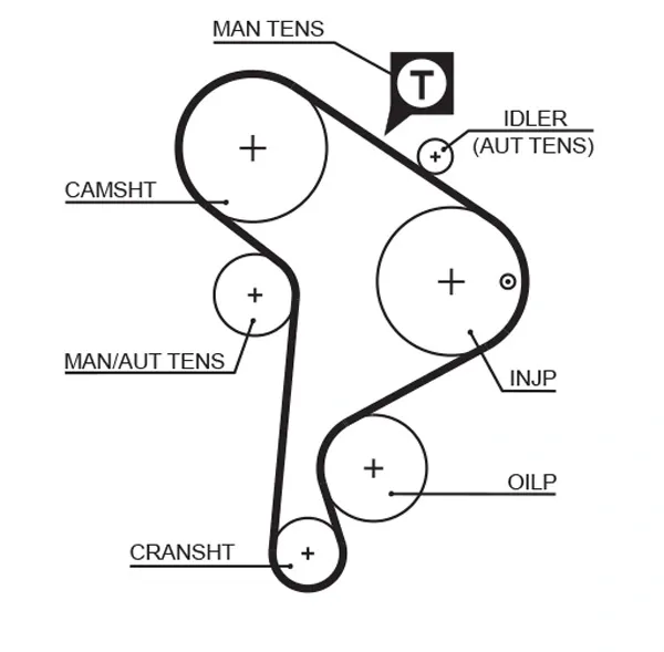 Correa distribución Seat Cordoba 6K2, C2