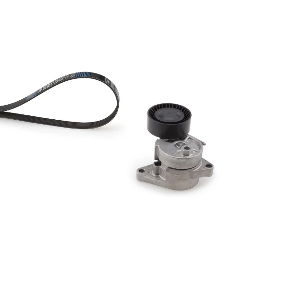 Tensor de correa, correa poli V BMW 3 (E46)