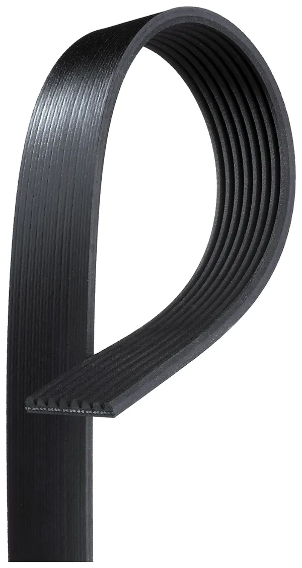 Correa de alternador 3034944 Cummins