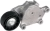 Tensor de correa poli V Ford Focus II