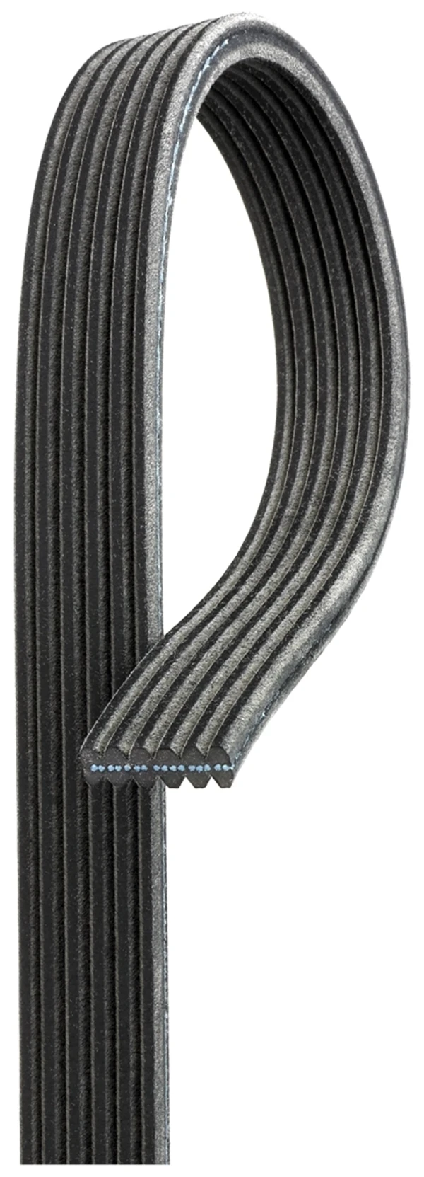 6DPK1195 Gates