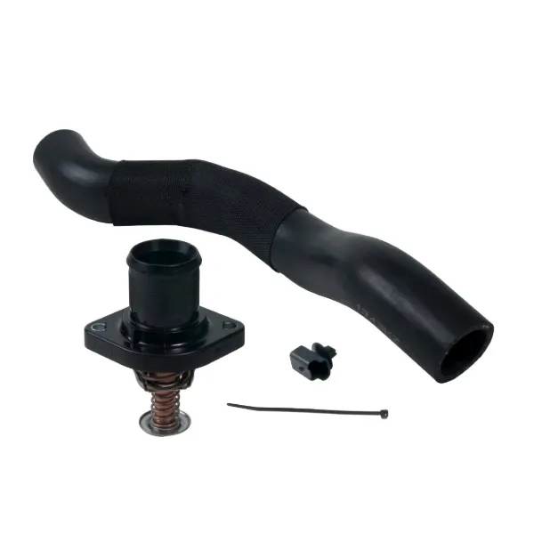 Termostato TH24989K1 Gates