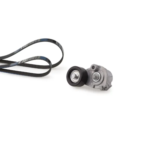 Correa de transmisión K266PK1555 Gates